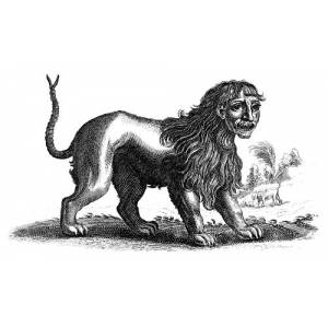 Мантикора, Manticore