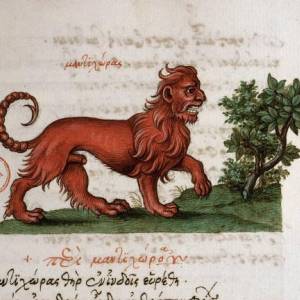 Мантикора, Manticore