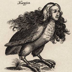 Гарпии, Harpies