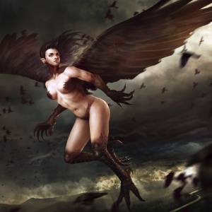 Гарпии, Harpies