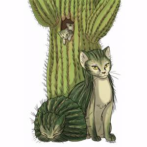 Кактусовый кот, Cactus Cat