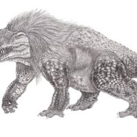 Амт, Ammit — чудовище из древнеегипетской мифологии - Египетская/Древнеегипетская мифология