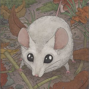 Кодаманэдзуми, Kodama nezumi — ёкай из японской мифологии - Японская мифология