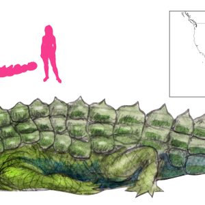 Дангавенский фыркун, Crocodilus hauriens — чудовище из североамериканской мифологии - Североамериканская мифология