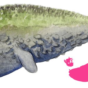 Лингбакр, Lyngbakr — чудовище из исландской мифологии - Исландская мифология