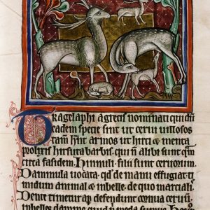 Трагелаф, Goat-stag — мифическое существо из древнегреческой мифологии - Греческая/Древнегреческая мифология