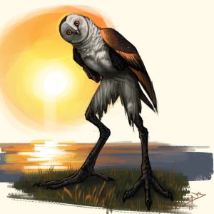 Чикчарни, Chiccharnie — мифическое существо из мифологии карибского бассейна - Мифология карибского бассейна