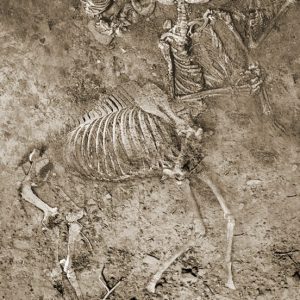Бариаур, Bariaur — мифическое существо из греческой мифологии - Греческая/Древнегреческая мифология