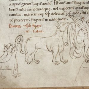 Дракон, Draco — мифическое существо из мировой мифологии - Мировая мифология (Мифология и фольклор разных стран мира)