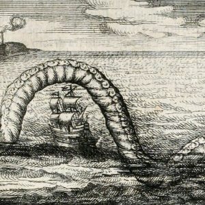 Дракон, Draco — мифическое существо из мировой мифологии - Мировая мифология (Мифология и фольклор разных стран мира)