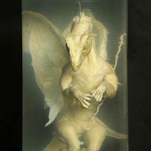 Дракон, Draco — мифическое существо из мировой мифологии - Мировая мифология (Мифология и фольклор разных стран мира)