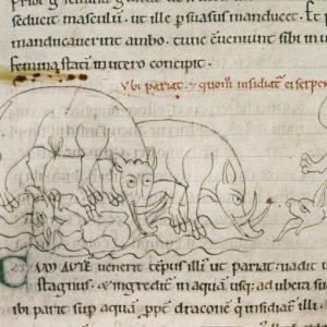 Дракон, Draco — мифическое существо из мировой мифологии - Мировая мифология (Мифология и фольклор разных стран мира)