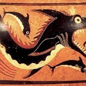 Дракон, Draco — мифическое существо из мировой мифологии - Мировая мифология (Мифология и фольклор разных стран мира)