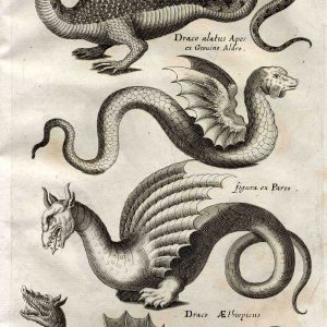 Дракон, Draco — мифическое существо из мировой мифологии - Мировая мифология (Мифология и фольклор разных стран мира)