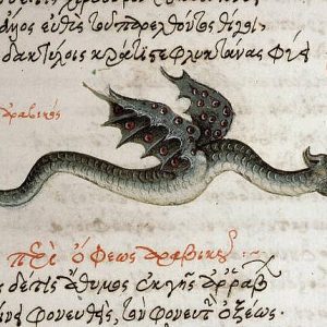 Дракон, Draco — мифическое существо из мировой мифологии - Мировая мифология (Мифология и фольклор разных стран мира)