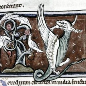 Дракон, Draco — мифическое существо из мировой мифологии - Мировая мифология (Мифология и фольклор разных стран мира)