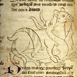 Дракон, Draco — мифическое существо из мировой мифологии - Мировая мифология (Мифология и фольклор разных стран мира)