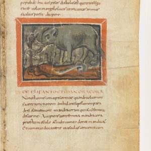 Дракон, Draco — мифическое существо из мировой мифологии - Мировая мифология (Мифология и фольклор разных стран мира)