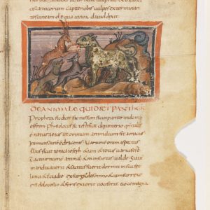 Дракон, Draco — мифическое существо из мировой мифологии - Мировая мифология (Мифология и фольклор разных стран мира)