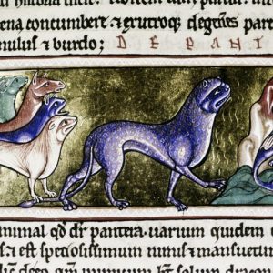 Дракон, Draco — мифическое существо из мировой мифологии - Мировая мифология (Мифология и фольклор разных стран мира)