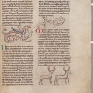 Дракон, Draco — мифическое существо из мировой мифологии - Мировая мифология (Мифология и фольклор разных стран мира)