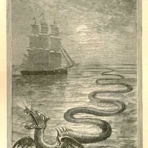 Дракон, Draco — мифическое существо из мировой мифологии - Мировая мифология (Мифология и фольклор разных стран мира)