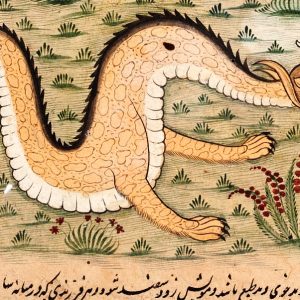 Дракон, Draco — мифическое существо из мировой мифологии - Мировая мифология (Мифология и фольклор разных стран мира)
