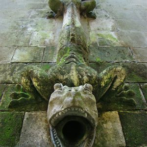 Дракон, Draco — мифическое существо из мировой мифологии - Мировая мифология (Мифология и фольклор разных стран мира)