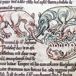 Дракон, Draco — мифическое существо из мировой мифологии - Мировая мифология (Мифология и фольклор разных стран мира)