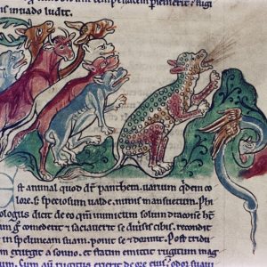Дракон, Draco — мифическое существо из мировой мифологии - Мировая мифология (Мифология и фольклор разных стран мира)