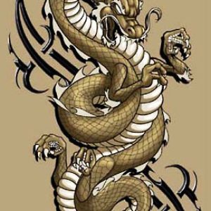 Дракон, Draco — мифическое существо из мировой мифологии - Мировая мифология (Мифология и фольклор разных стран мира)
