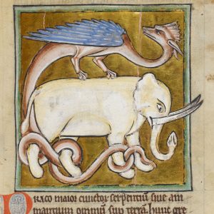 Дракон, Draco — мифическое существо из мировой мифологии - Мировая мифология (Мифология и фольклор разных стран мира)
