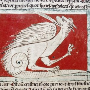 Дракон, Draco — мифическое существо из мировой мифологии - Мировая мифология (Мифология и фольклор разных стран мира)