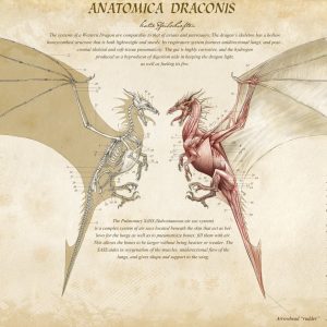 Дракон, Draco — мифическое существо из мировой мифологии - Мировая мифология (Мифология и фольклор разных стран мира)
