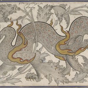 Дракон, Draco — мифическое существо из мировой мифологии - Мировая мифология (Мифология и фольклор разных стран мира)