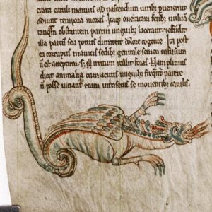 Дракон, Draco — мифическое существо из мировой мифологии - Мировая мифология (Мифология и фольклор разных стран мира)