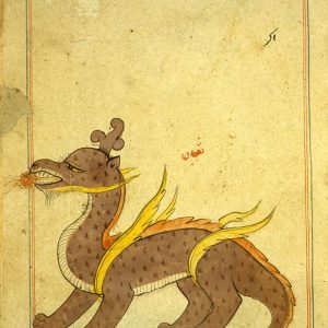 Дракон, Draco — мифическое существо из мировой мифологии - Мировая мифология (Мифология и фольклор разных стран мира)