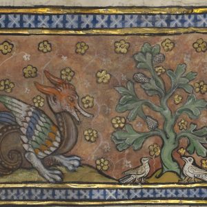 Дракон, Draco — мифическое существо из мировой мифологии - Мировая мифология (Мифология и фольклор разных стран мира)