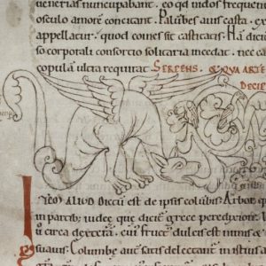 Дракон, Draco — мифическое существо из мировой мифологии - Мировая мифология (Мифология и фольклор разных стран мира)