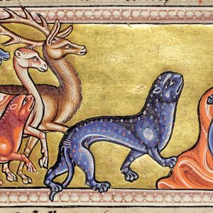 Дракон, Draco — мифическое существо из мировой мифологии - Мировая мифология (Мифология и фольклор разных стран мира)