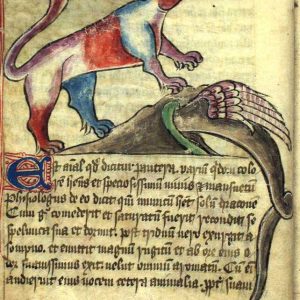 Дракон, Draco — мифическое существо из мировой мифологии - Мировая мифология (Мифология и фольклор разных стран мира)