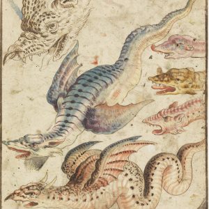 Дракон, Draco — мифическое существо из мировой мифологии - Мировая мифология (Мифология и фольклор разных стран мира)