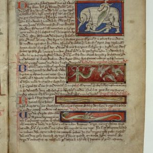 Дракон, Draco — мифическое существо из мировой мифологии - Мировая мифология (Мифология и фольклор разных стран мира)