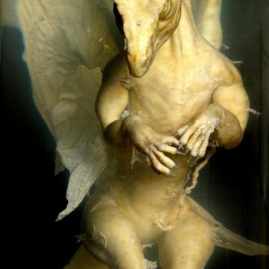Дракон, Draco — мифическое существо из мировой мифологии - Мировая мифология (Мифология и фольклор разных стран мира)