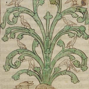 Дракон, Draco — мифическое существо из мировой мифологии - Мировая мифология (Мифология и фольклор разных стран мира)