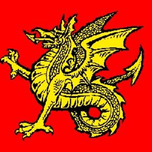 Дракон, Draco — мифическое существо из мировой мифологии - Мировая мифология (Мифология и фольклор разных стран мира)