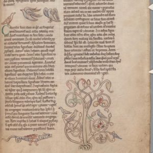 Дракон, Draco — мифическое существо из мировой мифологии - Мировая мифология (Мифология и фольклор разных стран мира)