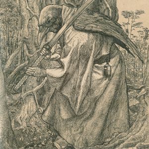 Карасу тэнгу, Karasu tengu — ёкай из японской мифологии - Японская мифология