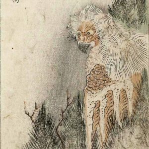 Карасу тэнгу, Karasu tengu — ёкай из японской мифологии - Японская мифология