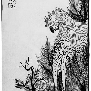 Карасу тэнгу, Karasu tengu — ёкай из японской мифологии - Японская мифология